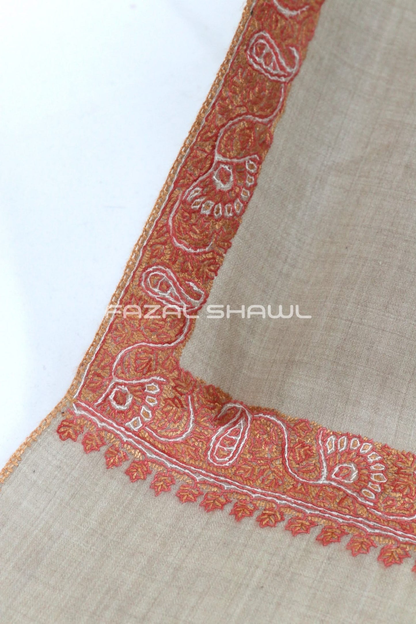 MP Border Hasheya Fine