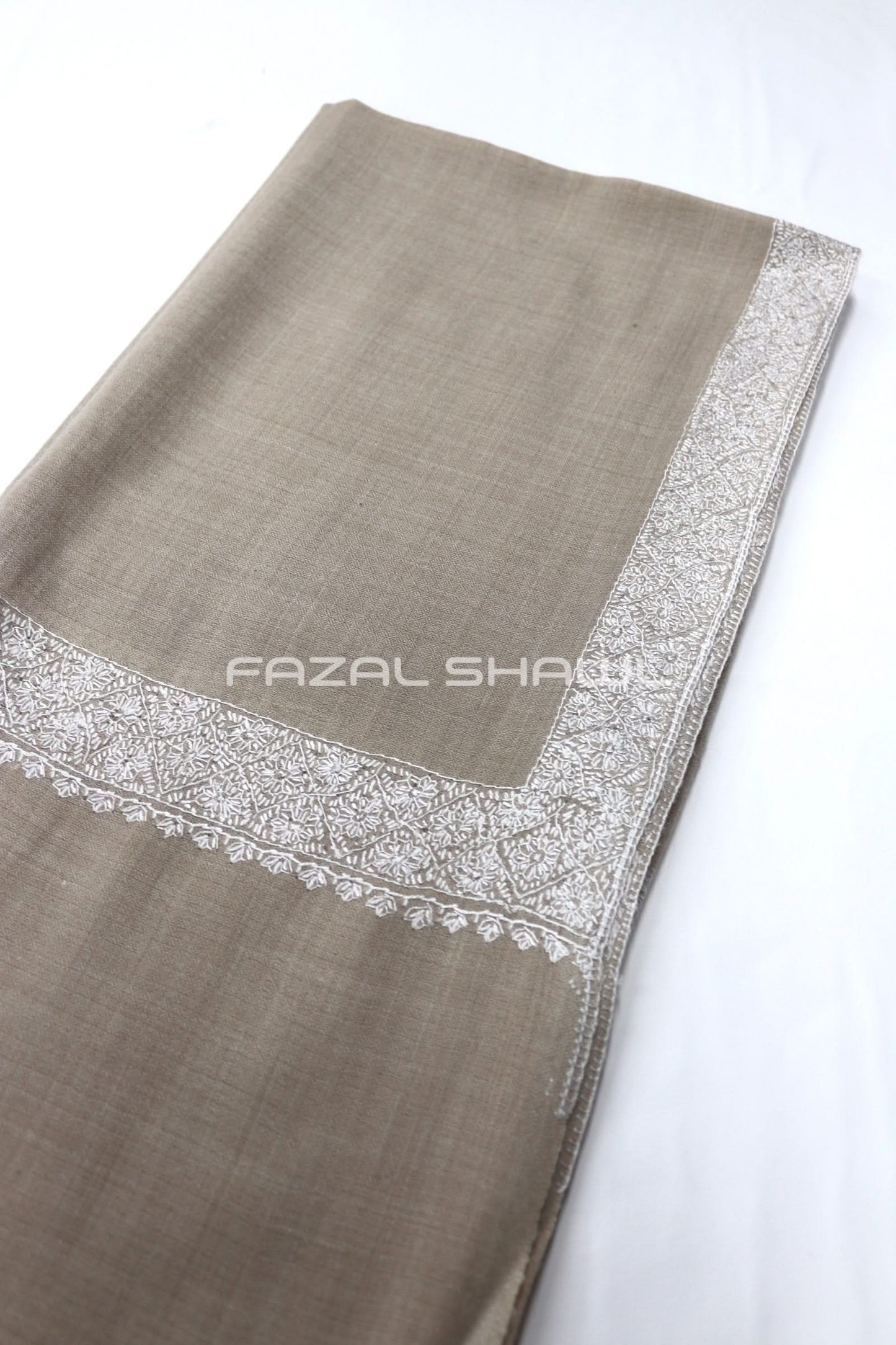 MP Border Hashya Fine