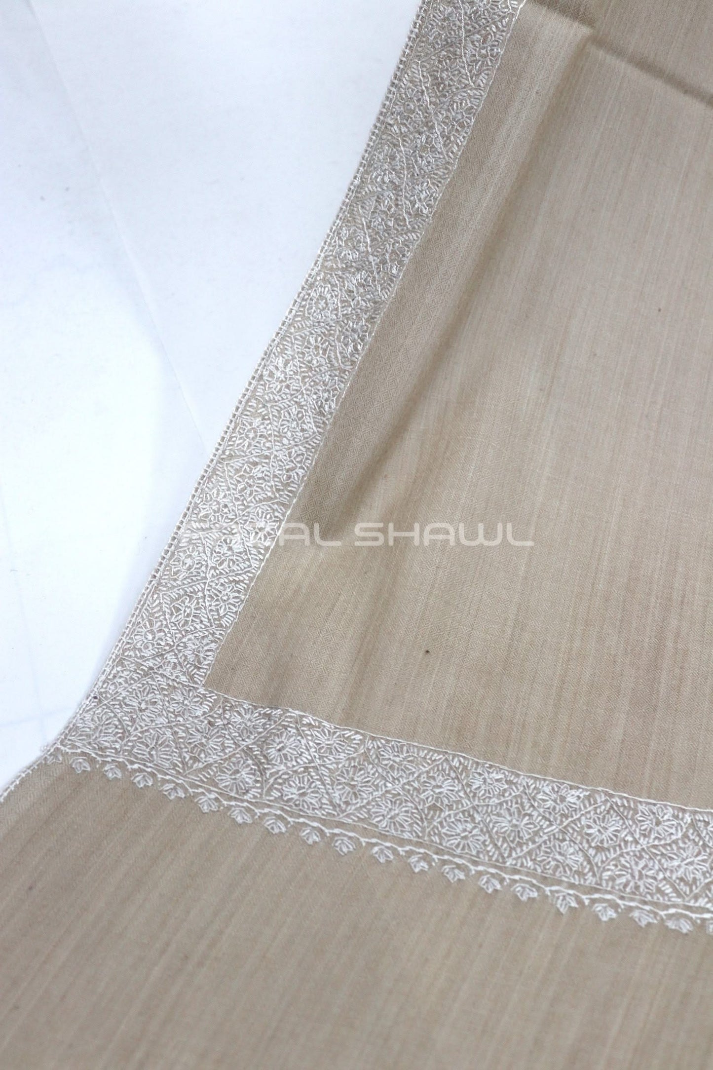 MP Border Hashya Fine